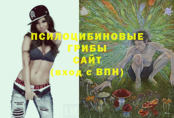 PSILOCYBIN Белоозёрский