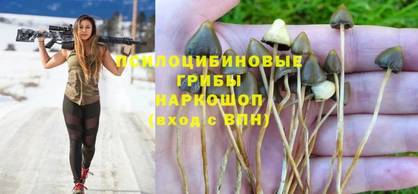 PSILOCYBIN Белоозёрский